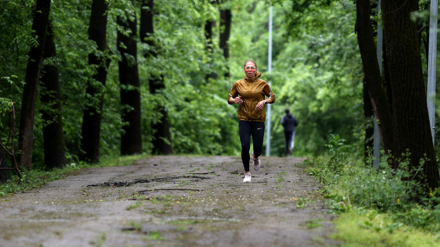    Фото: © РИА Новости/Виталий Тимкив