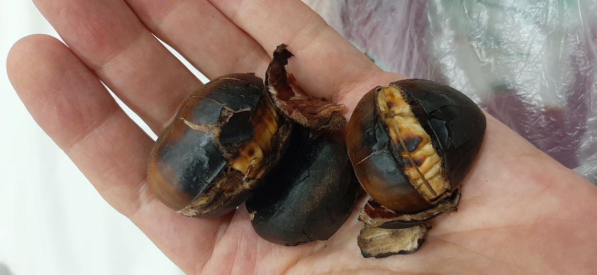 Идти по улиц и есть каштаны - особый смак