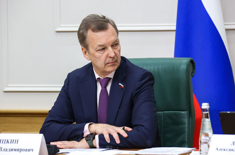   Денис Вышинский/Пресс-служба Совета Федерации