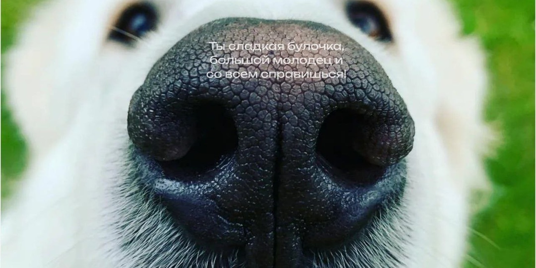 В доме, где есть дети