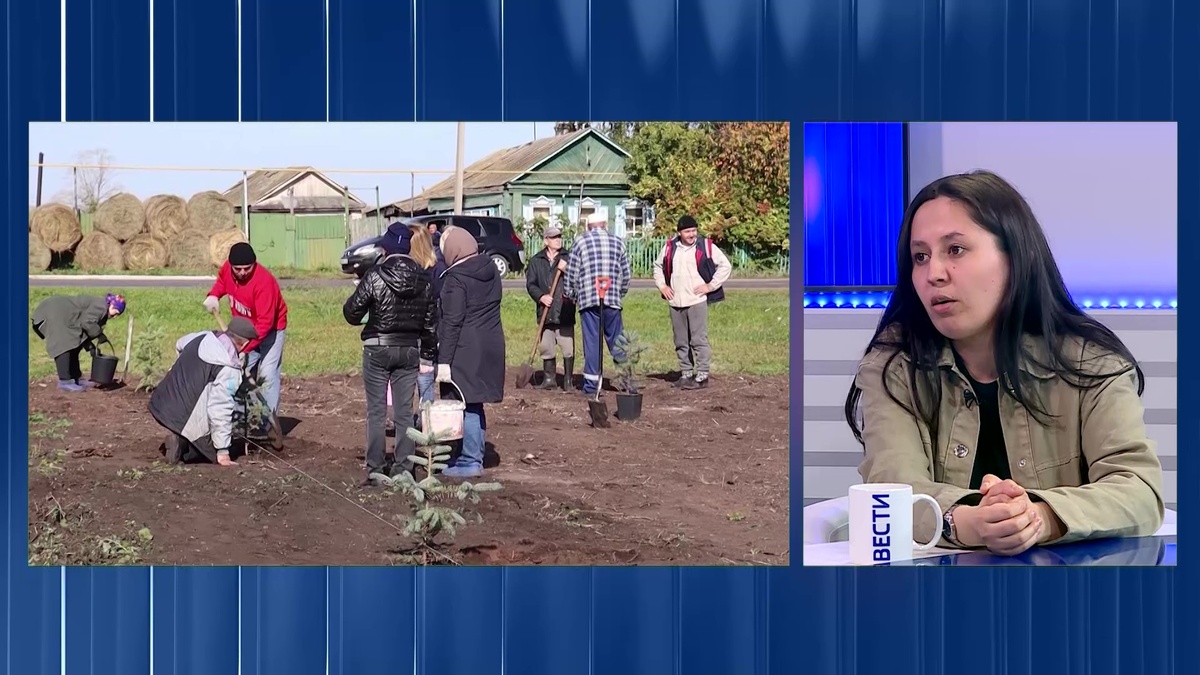    В этом году в РБ высадят два миллиона деревьев, посвященных погибшим бойцам