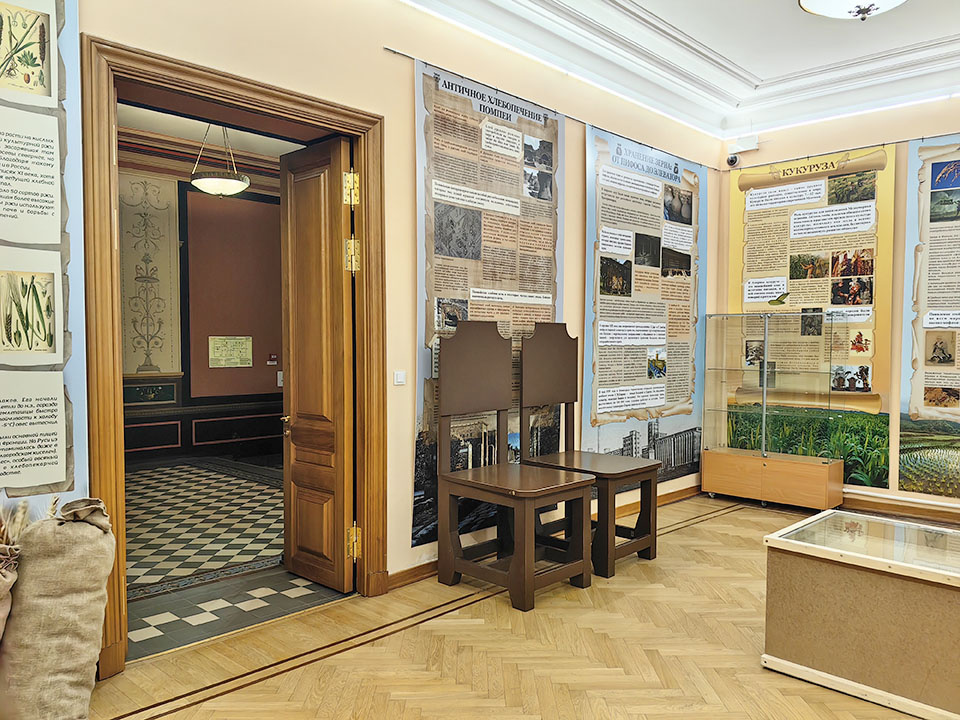 История хлебной культуры