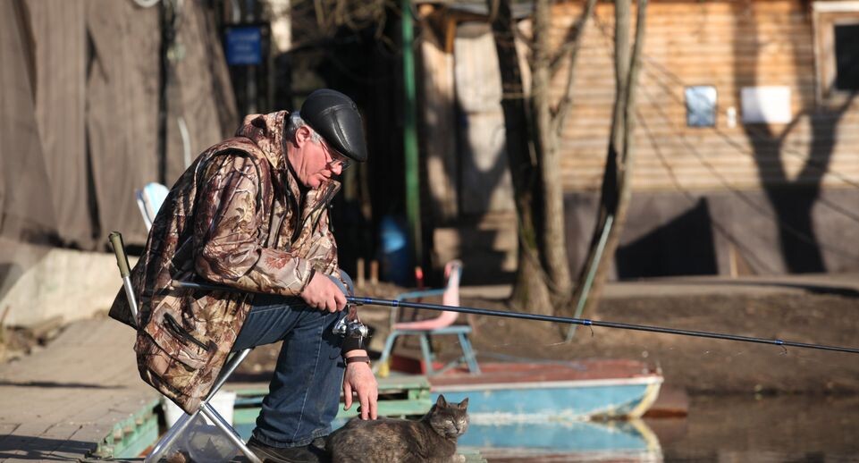    Медиасток.рф