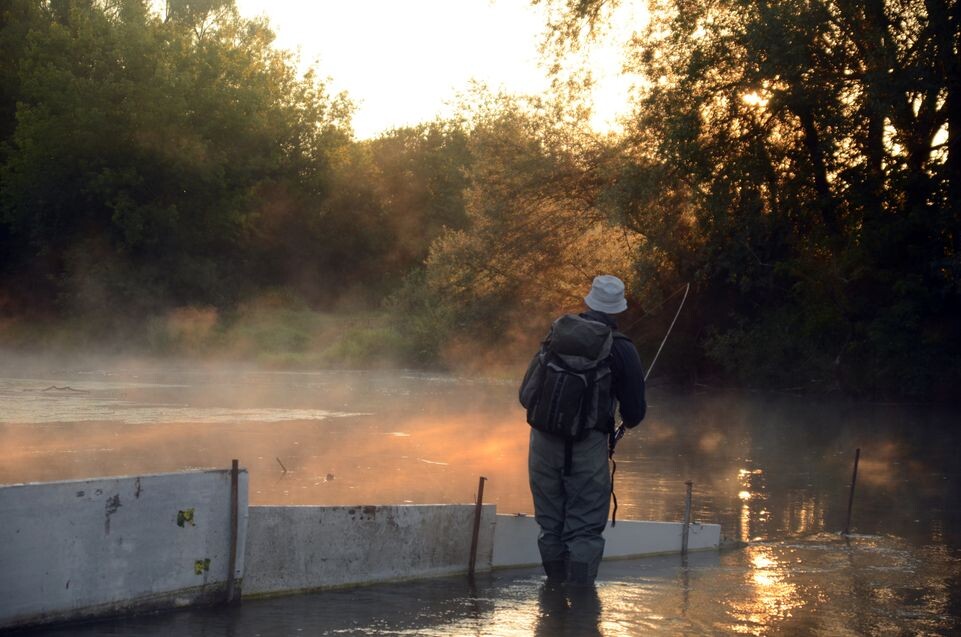    Медиасток.рф