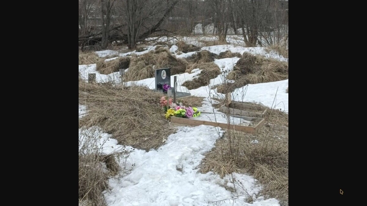   Daily Петрозаводск | Новости • Польза • Видео / vk