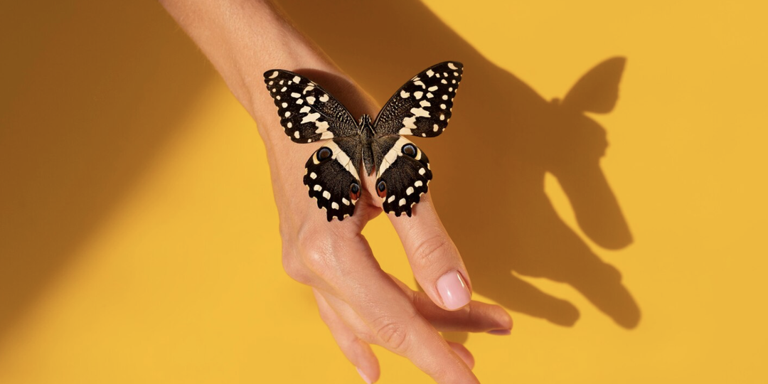 🦋 Техника «Бабочка» (Butterfly Hug): инструкция для работы с острой тревогой, паникой и стрессом