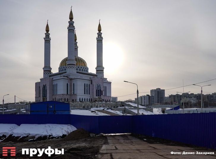    Фото: Пруфы