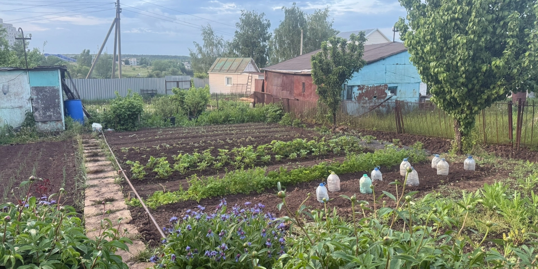 Нашли "Ахиллесову пяту" самого гнустного сорняка на участке: кусок ткани и весь пырей вывелся за сезон
