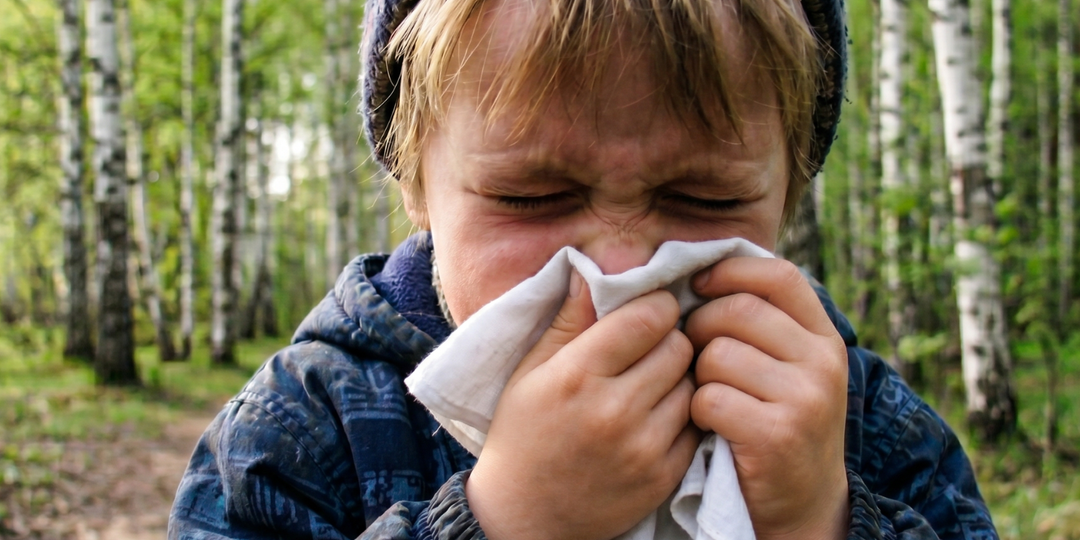 Аллергия на цветение у детей: как отличить от простуды и чем помочь ребенку весной