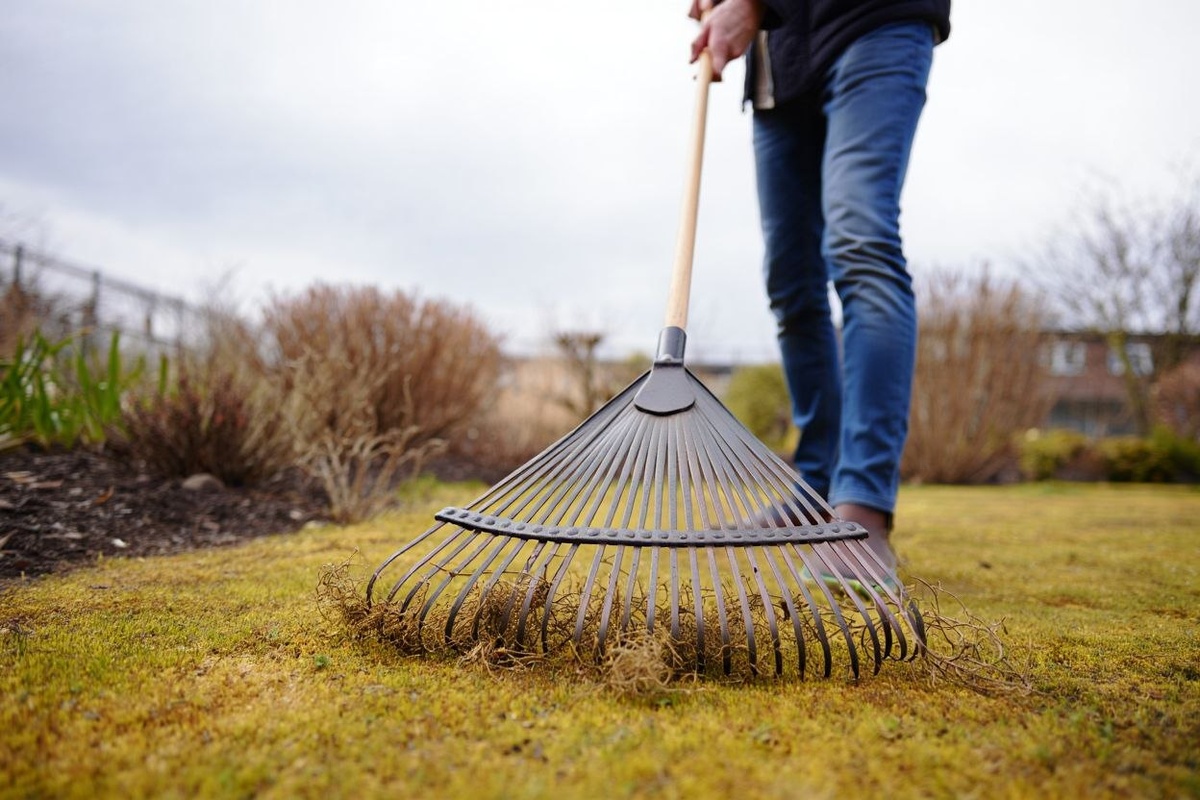 Фото: сайт Freepik / нейросеть Reve