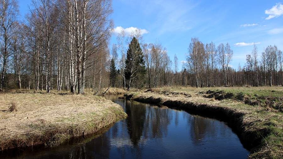    Фото: Global Look Press/Maksim Konstantinov