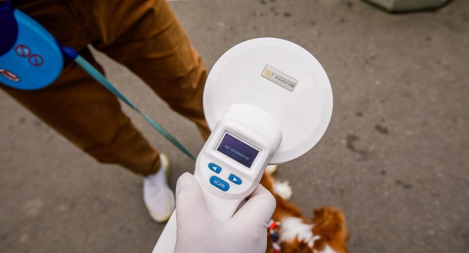    Медиасток.РФ