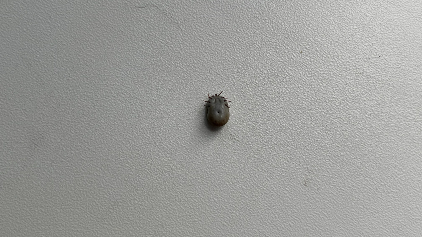    Фото из архива редакции