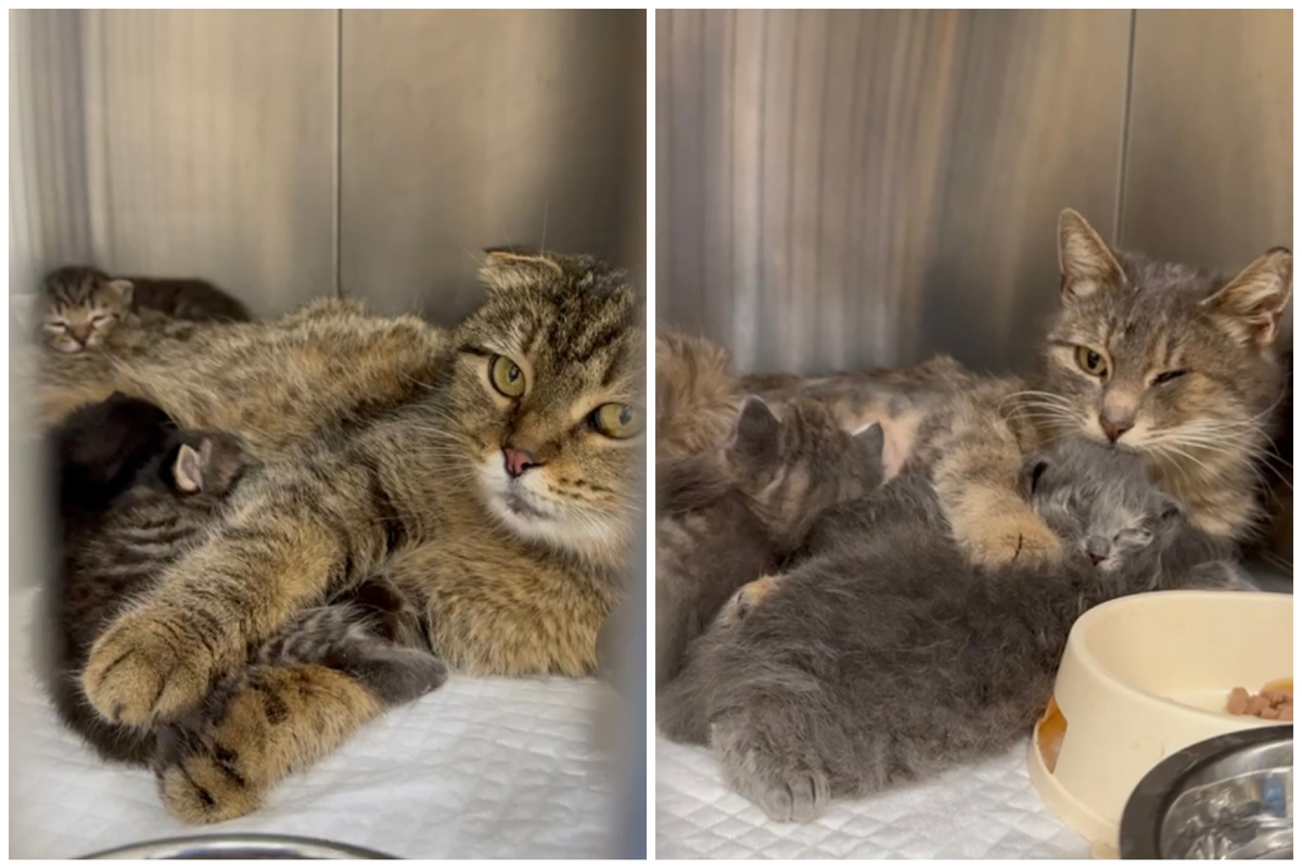 Стеша и Софа со своими детками❤️‍🩹