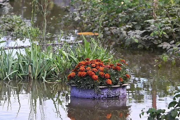    Источник: lenta.ru/ Михаил Морозов