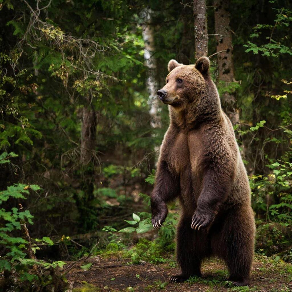 Фото: Dzen.ru