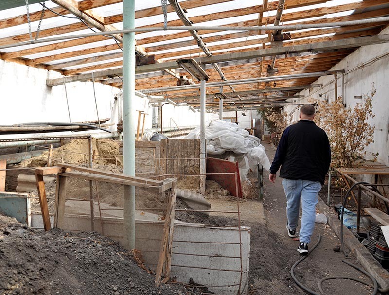 Фото Дмитрия Бикбова