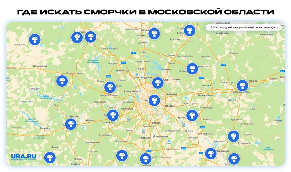    Карта грибных мест в Московской области