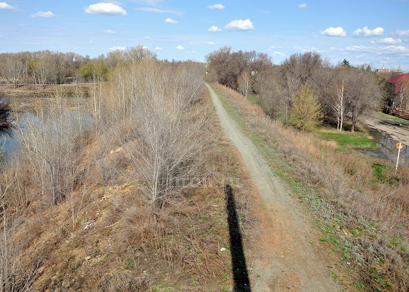 Фото Дмитрия Бикбова