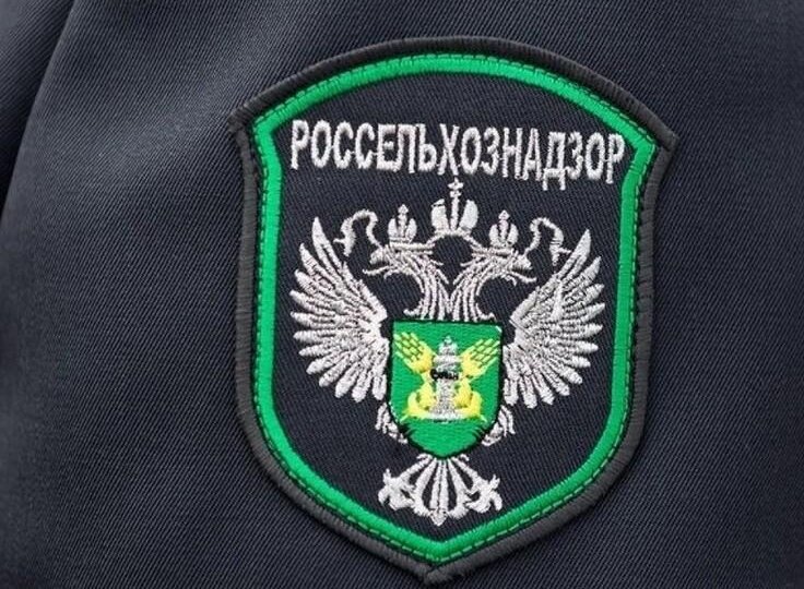 Из Пермского края в Беларусь отправлено 12 тонн мороженого