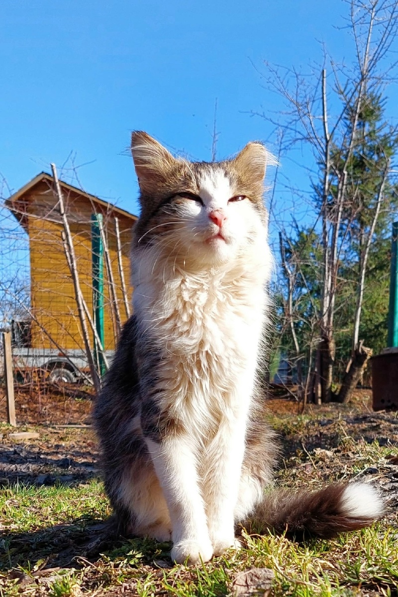 иллюстрация из яндекс картинки.