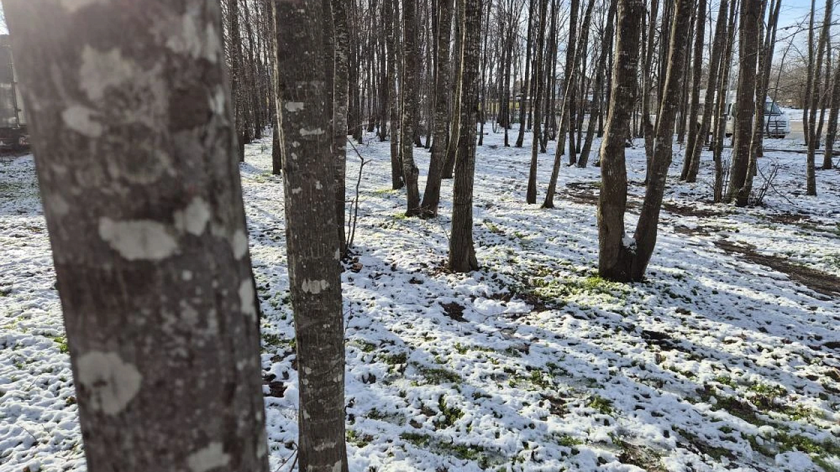    Фото: телеканал «Краснодар»