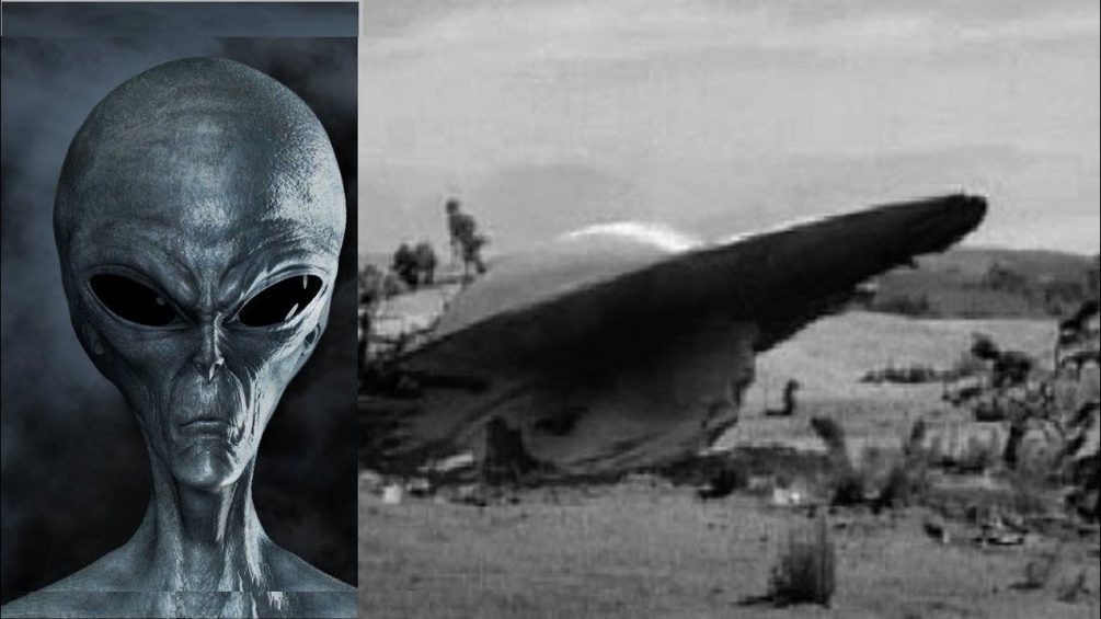   Иллюстрация: коллаж "Блокнота"