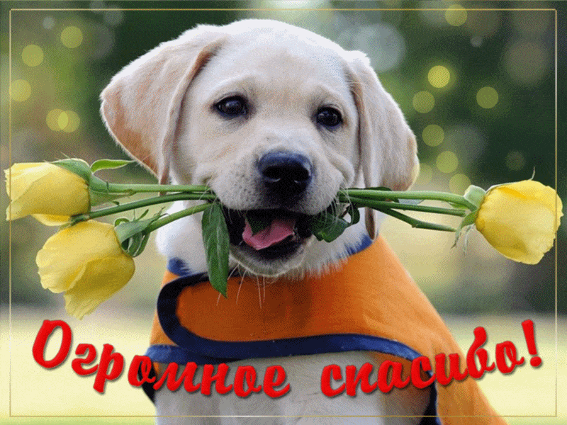 Из открытого источника.