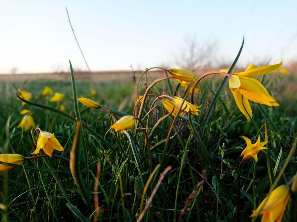    Фото: Л. Казмерова. Газета "Земля"