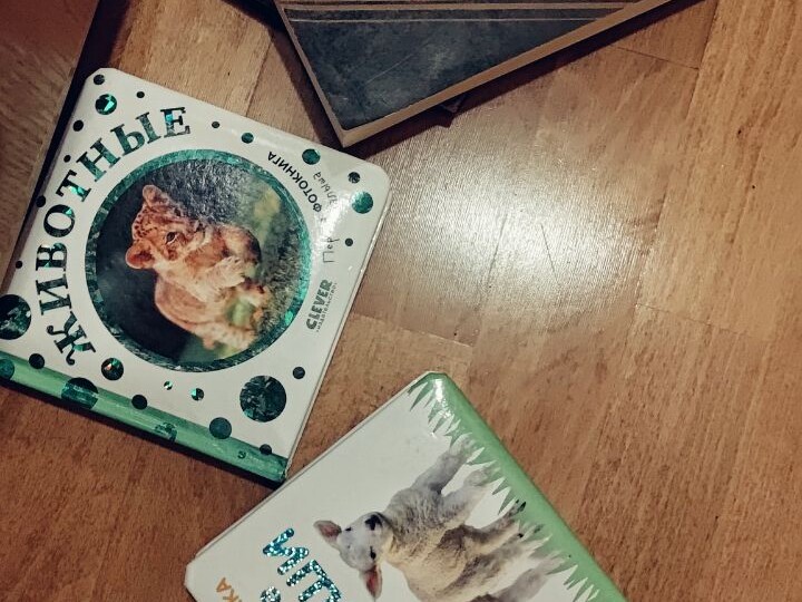 Когда книги были большими