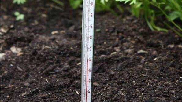 Замеряю температуру почвы на глубине посадки — это единственный показатель, которому я доверяю.