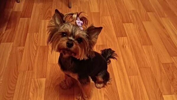    © РИА Новости Крым