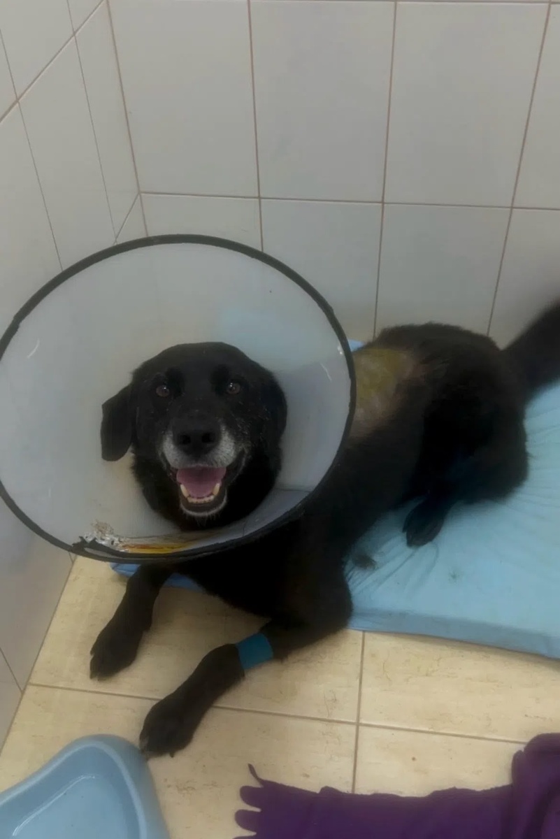 фото в каруселе