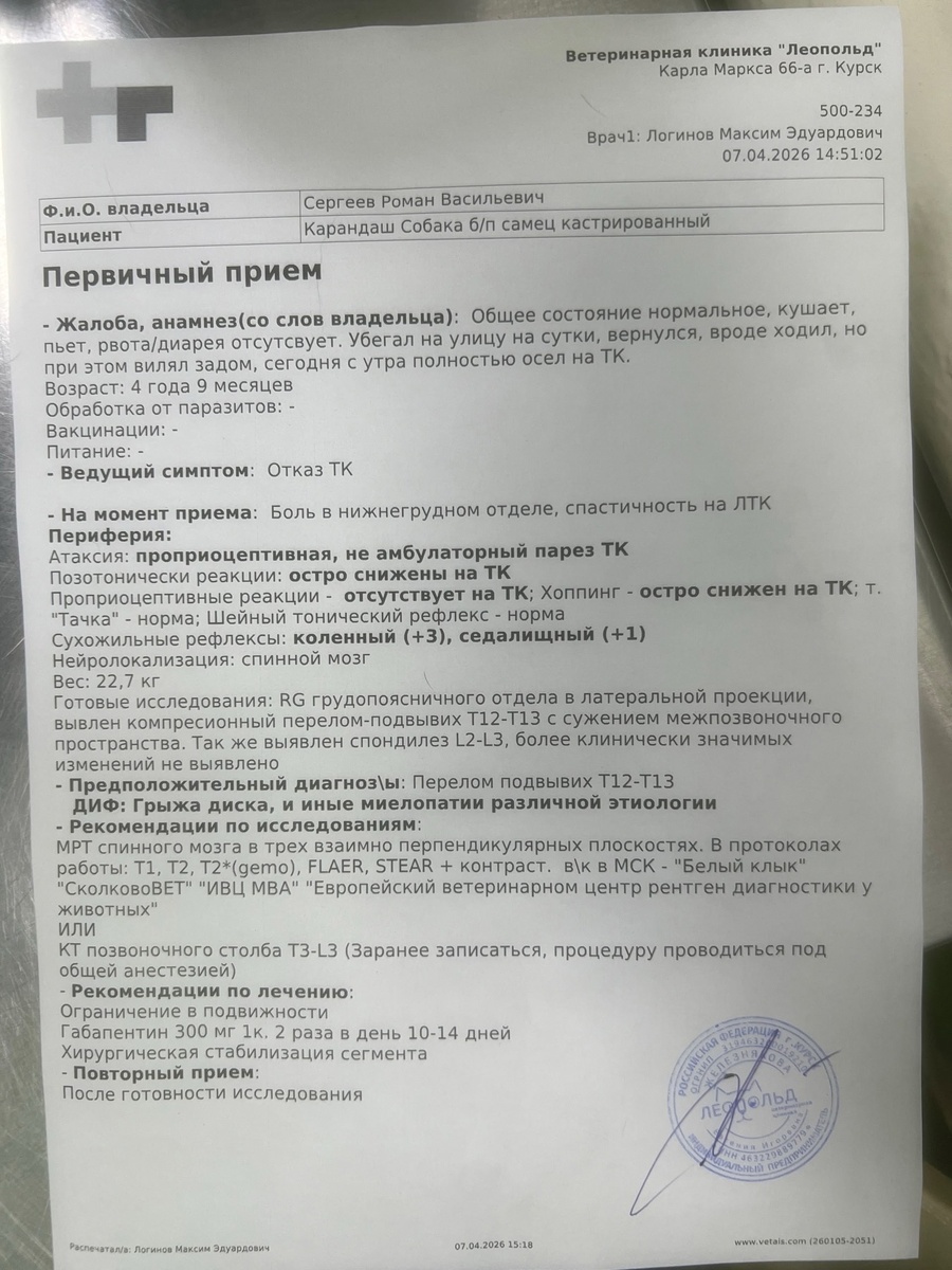 фото в каруселе