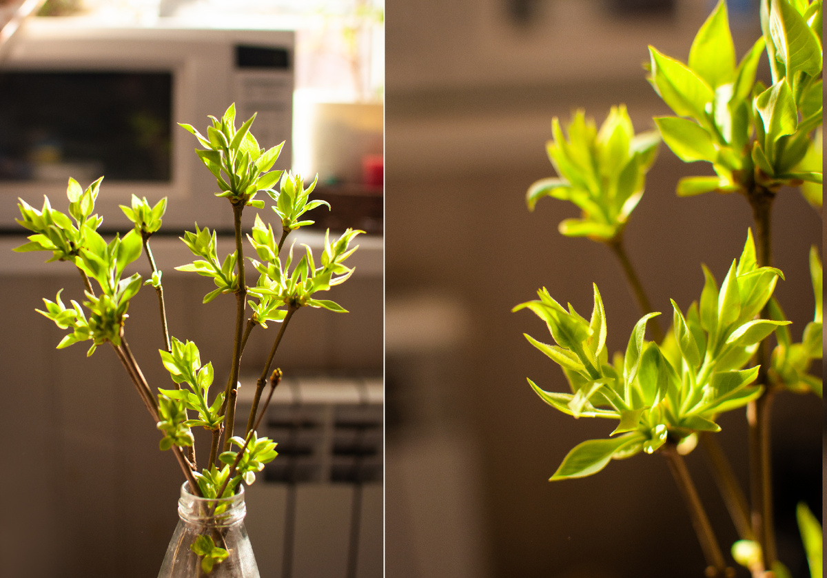 Личное фото