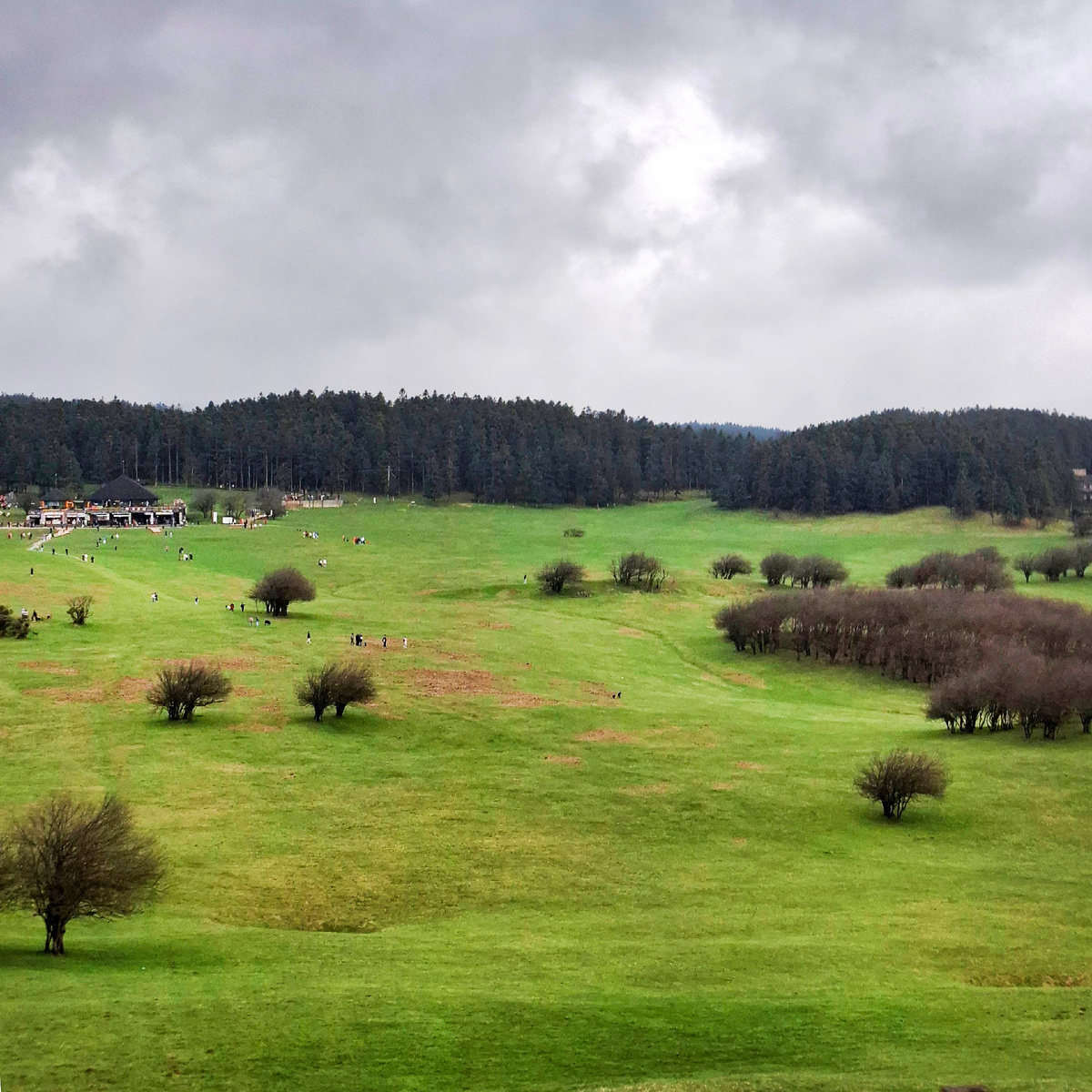 Классические пейзажи Горы Фей действительно напоминают Альпы. Фото автора.