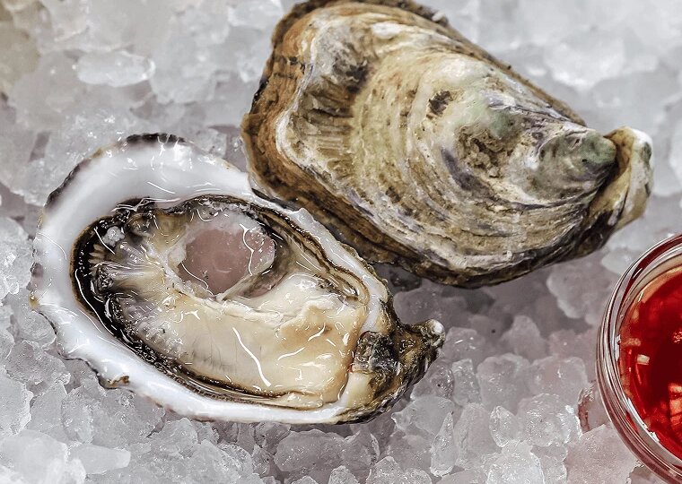 Твоя первая устрица