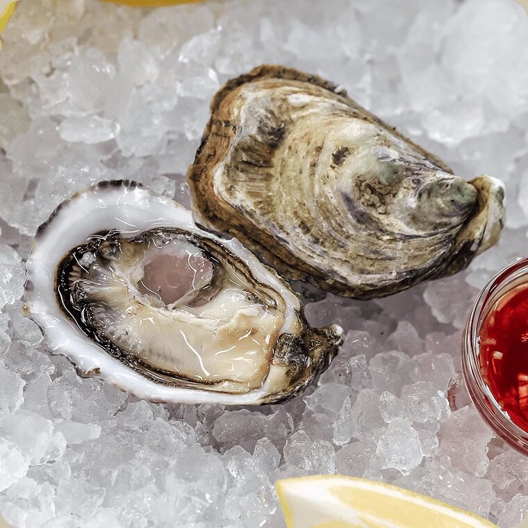 Устрица Vita