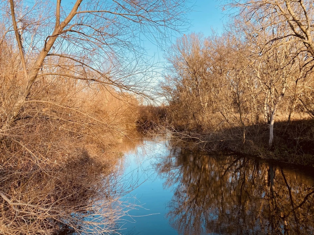 река Ольховчик