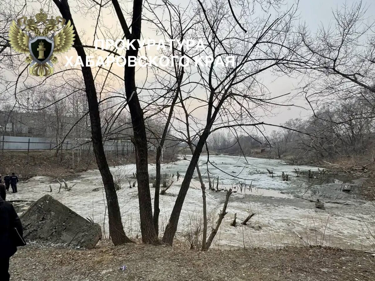     / Источник: © Прокуратура Хабаровского края/Telegram