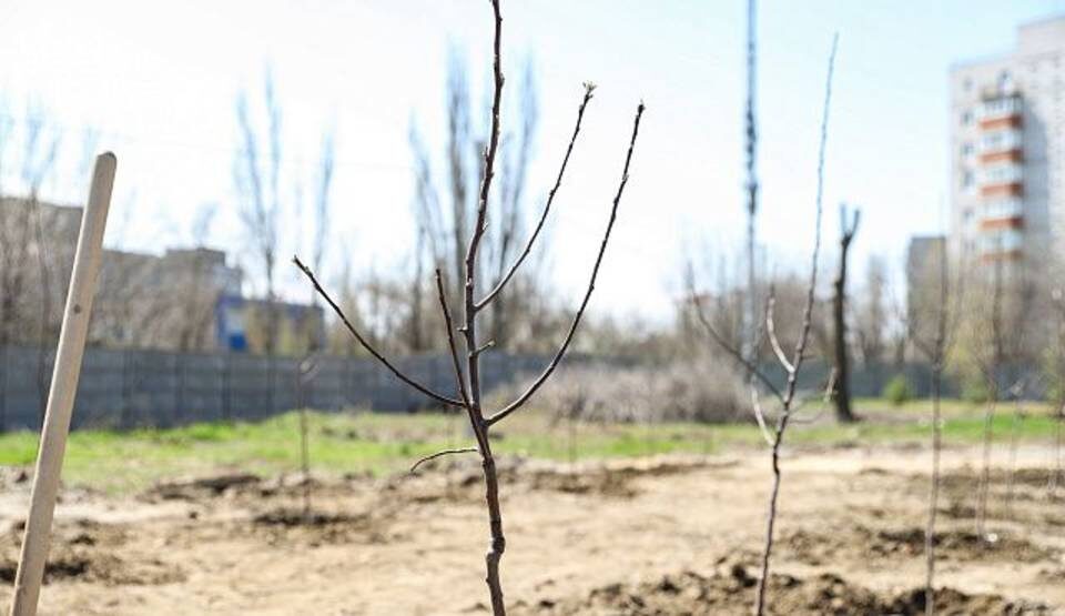    Фото: Волгоградская областная Дума