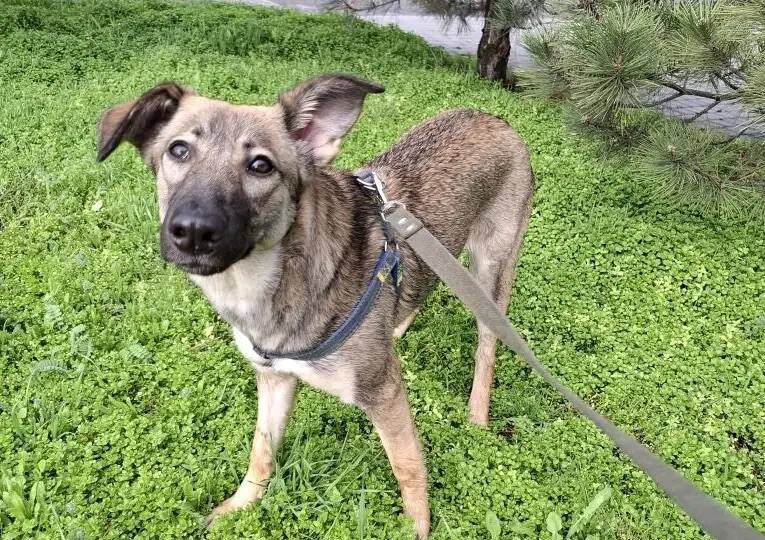 Выручите кто нибудь