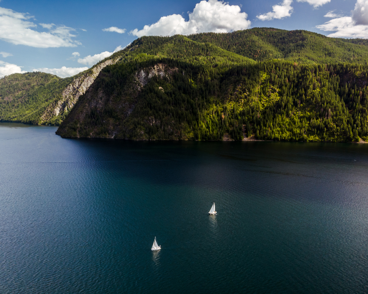 Источник: freepik
