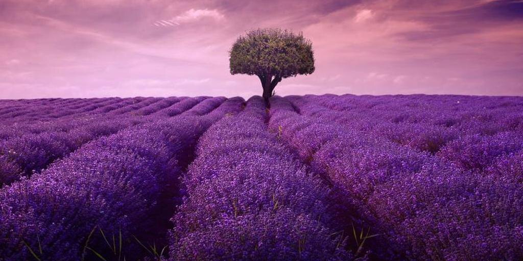 Provence