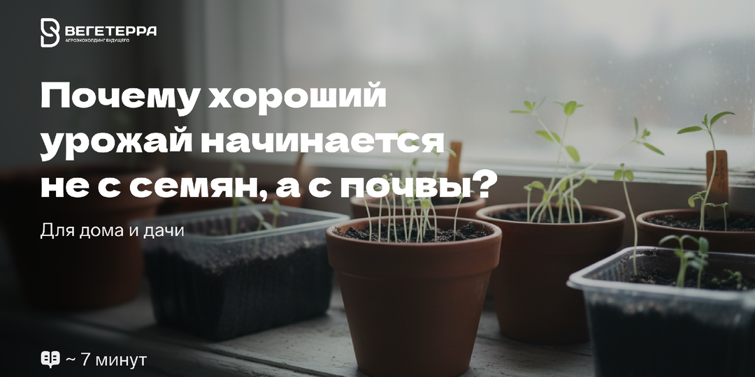 Почему хороший урожай начинается не с семян, а с почвы?