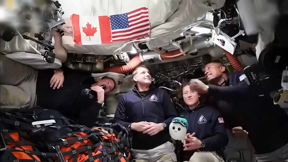 ФОТО: Кадр программы "Военная тайна", РЕН ТВ