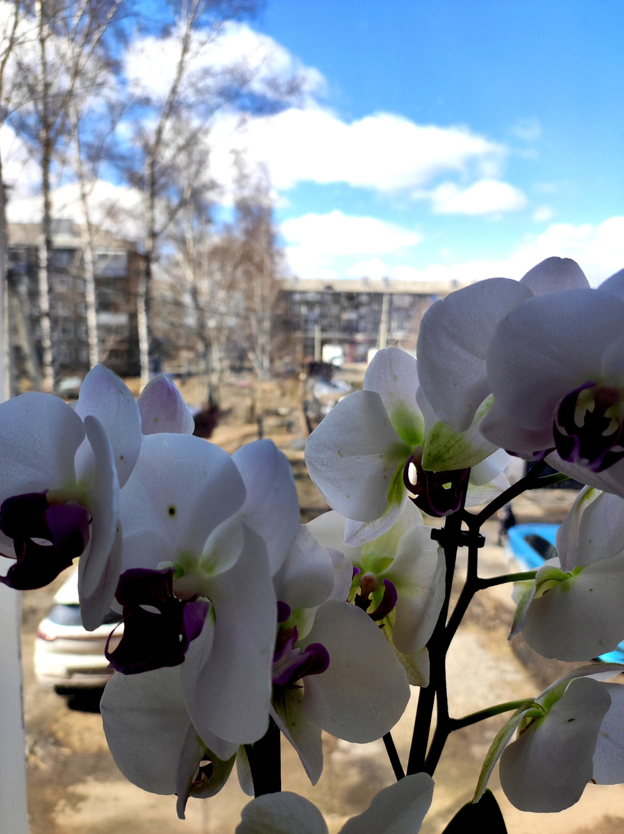 Ну, здравствуй Мой новый день! ❤️🤗