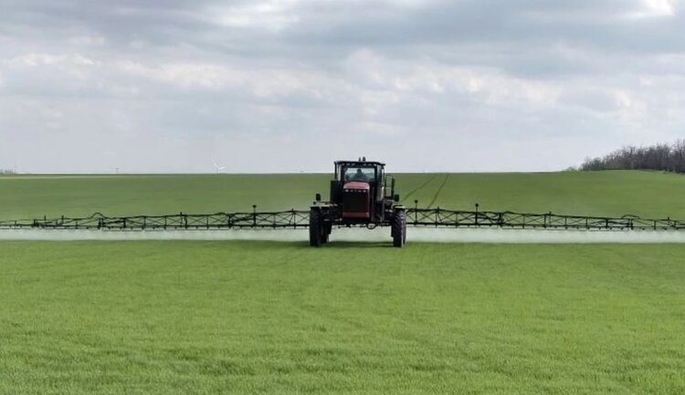 Сорняки хорошо перезимовали на ставропольских полях: нужна масштабная химпрополка