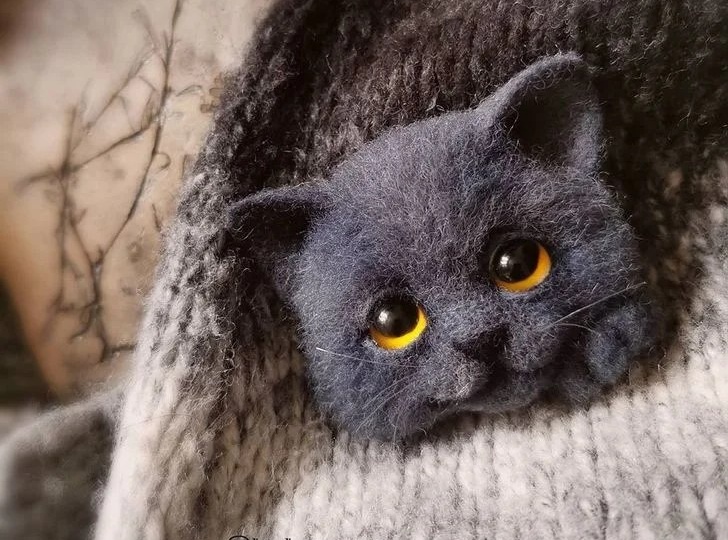 "Радость жизни