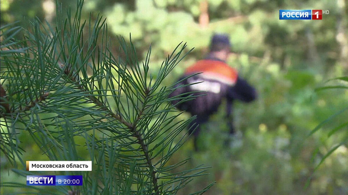    Кадр телеканала "Россия"